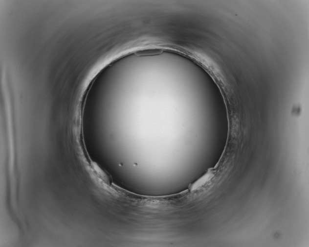 X0000098141520200804171534
