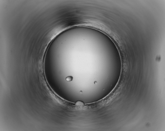 X0000098141521200804171534