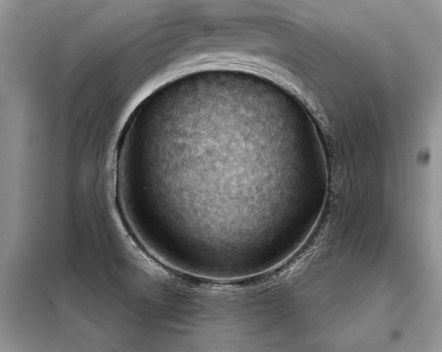 X0000098141522200804171534