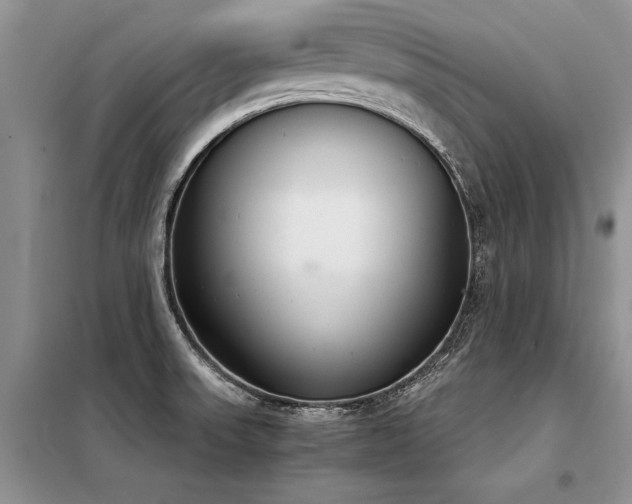 X0000098141523200804171534