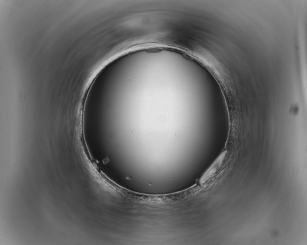 X0000098141524200804171534