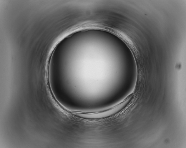 X0000098141528200804171534