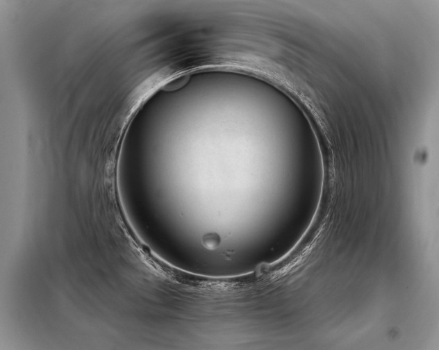 X0000098141529200804171534