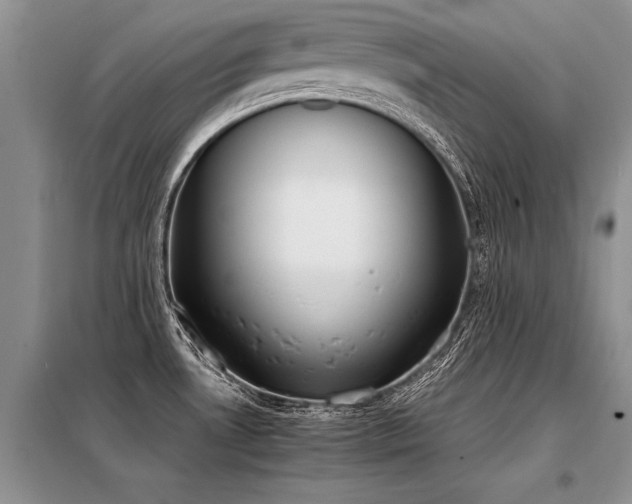 X0000098141530200804171534