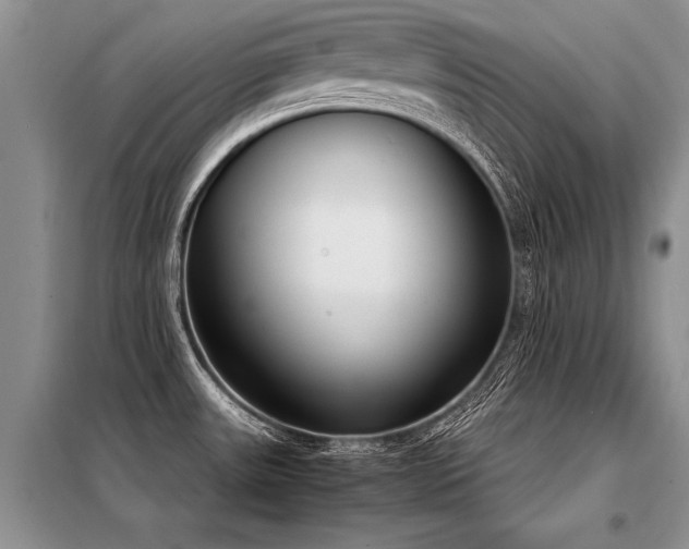 X0000098141531200804171534