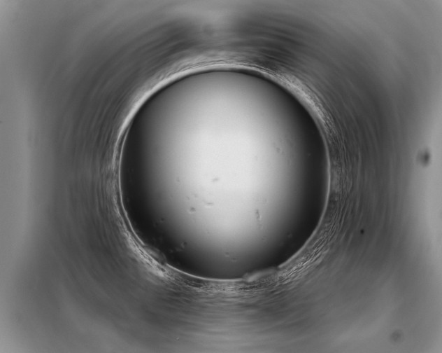 X0000098141532200804171534