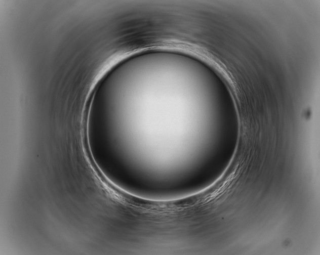 X0000098141533200804171534