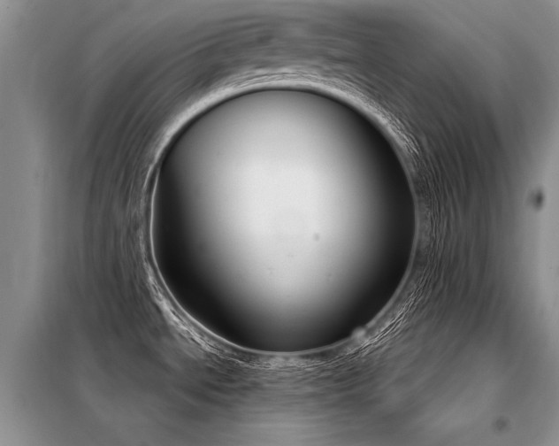 X0000098141534200804171534