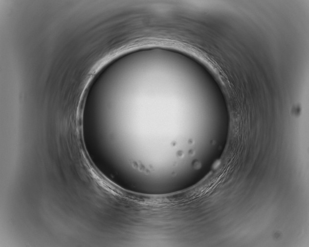 X0000098141535200804171534