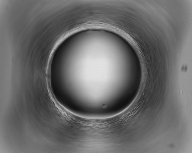 X0000098141536200804171534