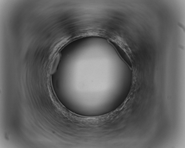 X0000098140001200804241726