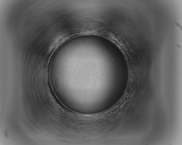 X0000098140002200804241726