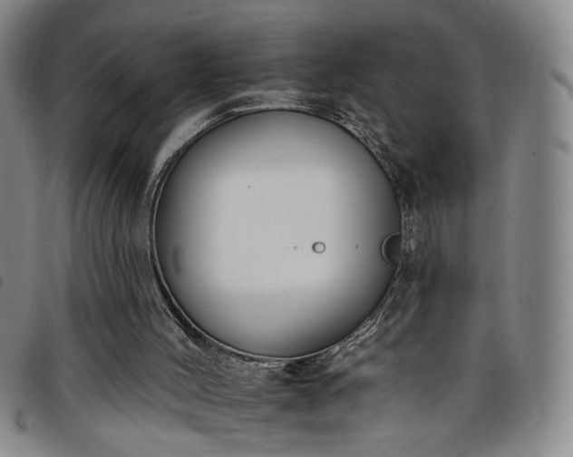 X0000098140004200804241725