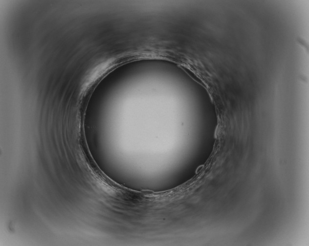X0000098140005200804241725