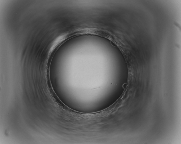 X0000098140006200804241725