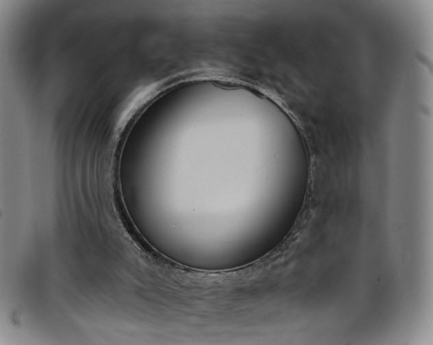 X0000098140007200804241725