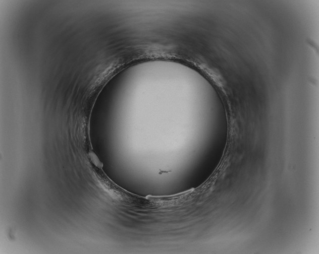 X0000098140009200804241725