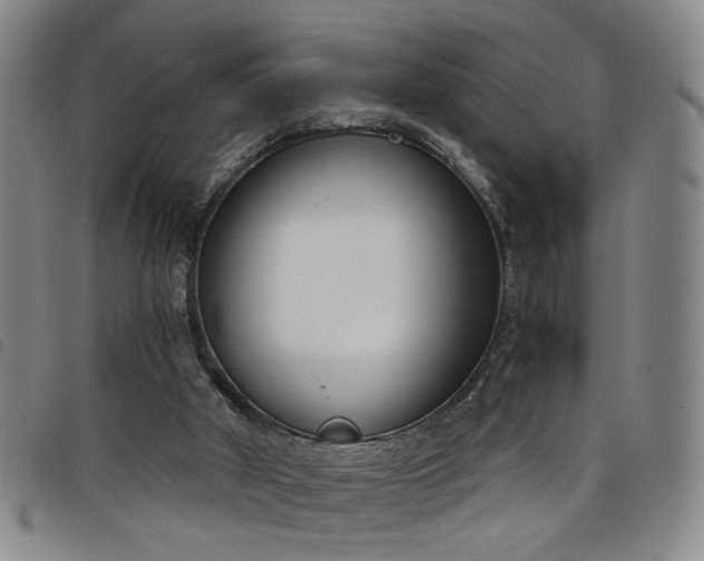 X0000098140010200804241725