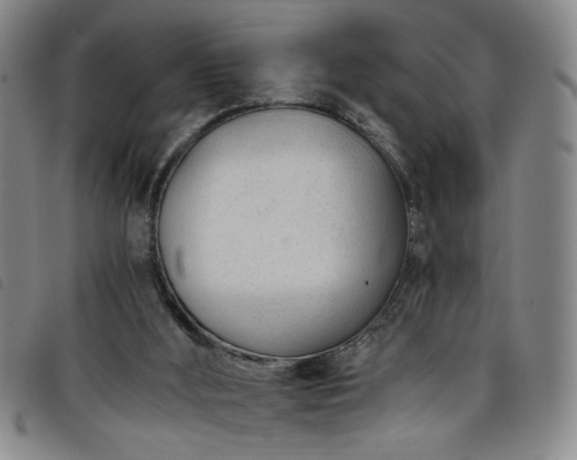 X0000098140012200804241725