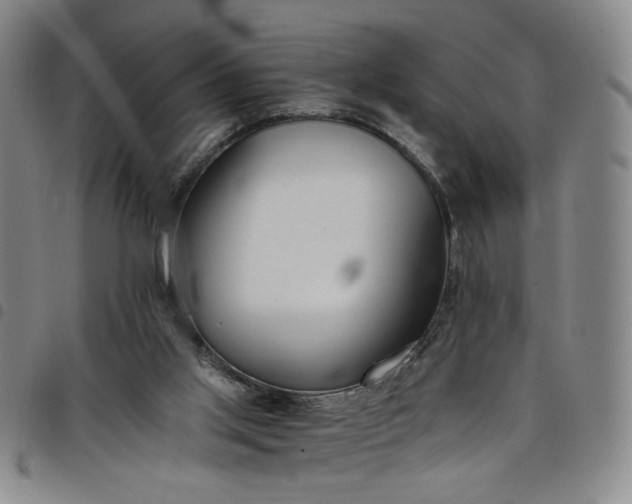 X0000098140013200804241725