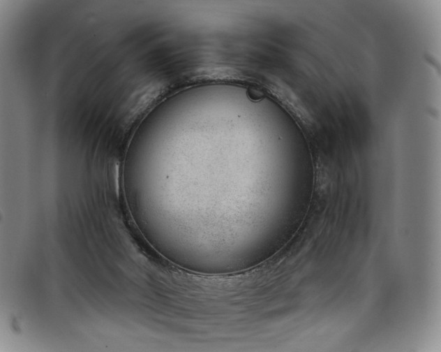 X0000098140014200804241725