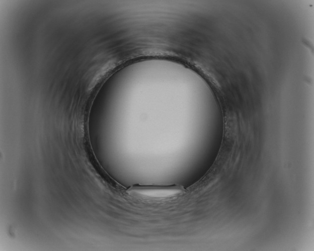 X0000098140015200804241725