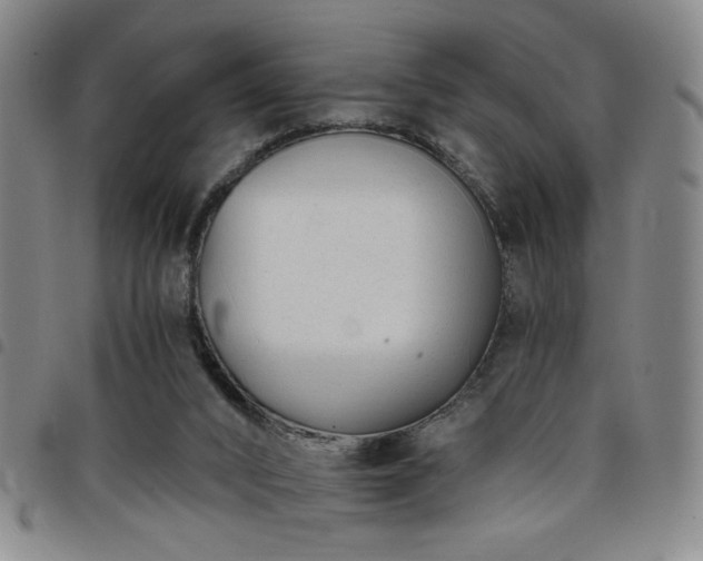 X0000098140016200804241725