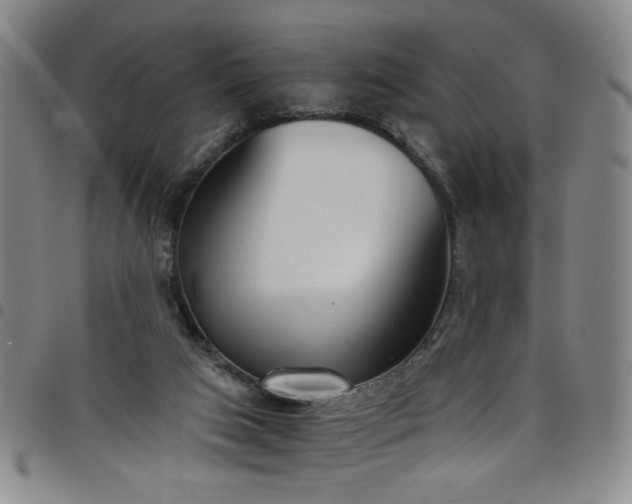 X0000098140017200804241725