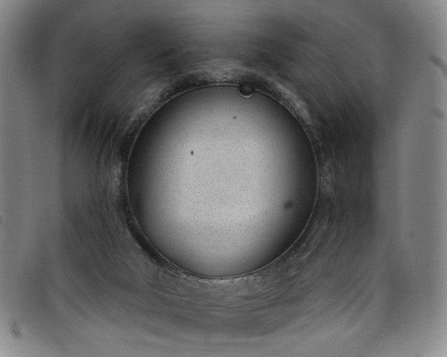 X0000098140018200804241725