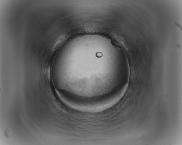 X0000098140019200804241725