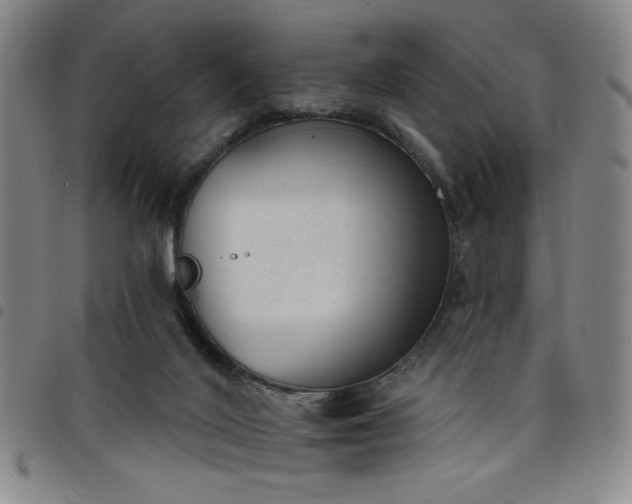 X0000098140020200804241725