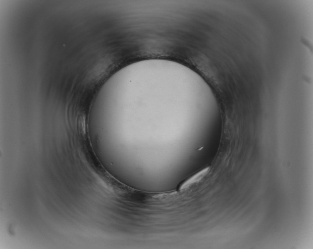 X0000098140021200804241725