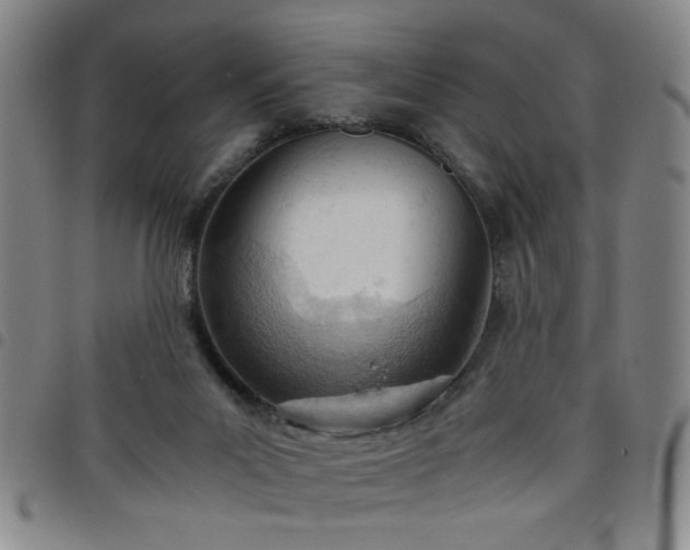 X0000098140023200804241725