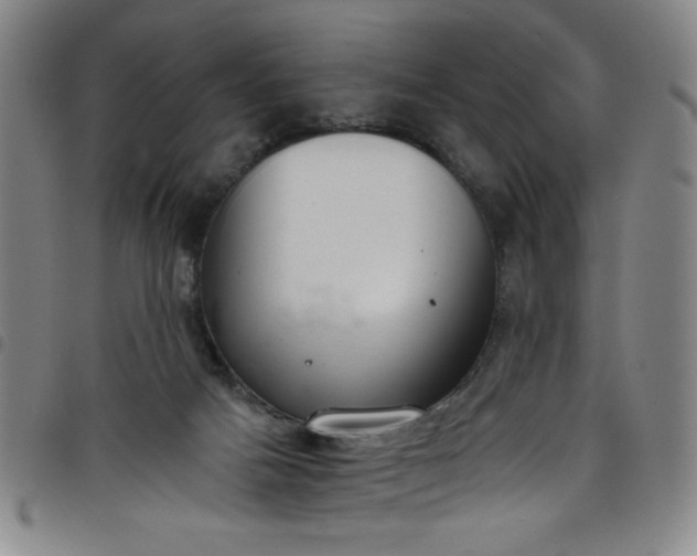 X0000098140025200804241725