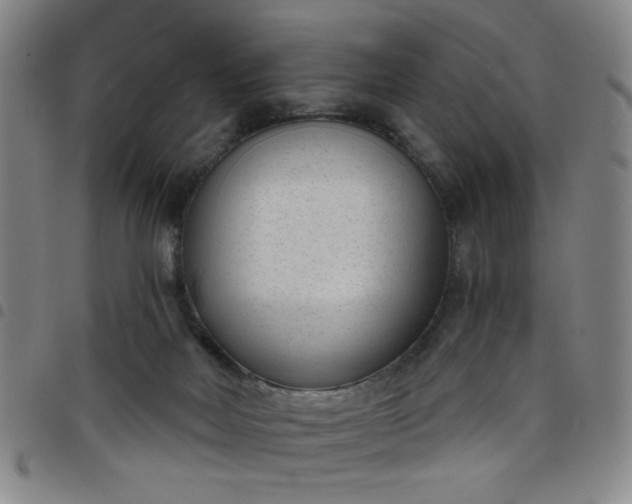 X0000098140026200804241725