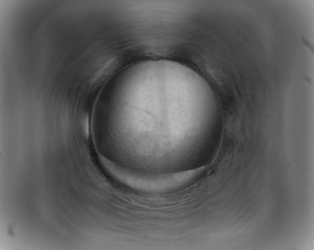 X0000098140027200804241725