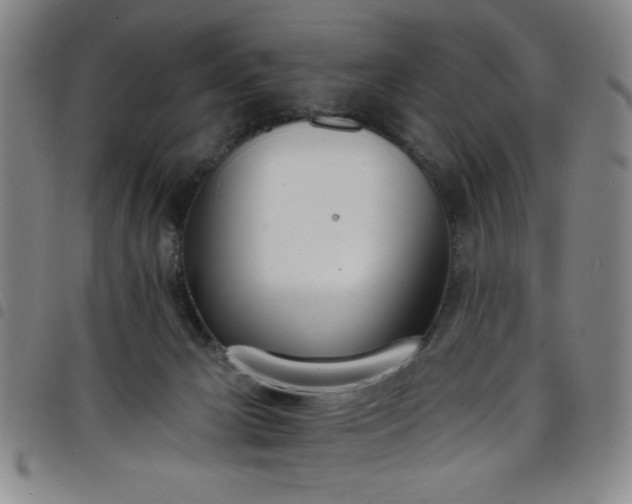 X0000098140029200804241725