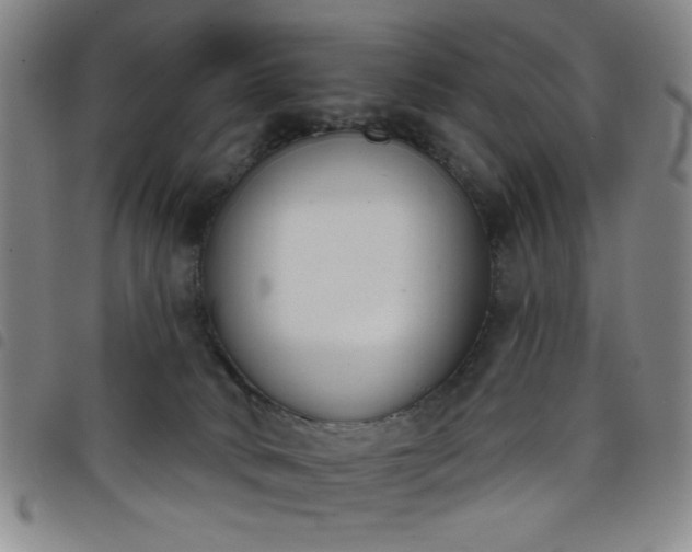 X0000098140034200804241725
