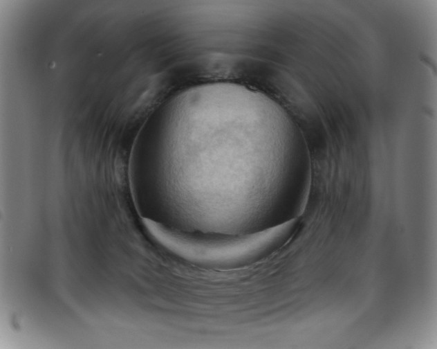 X0000098140035200804241725