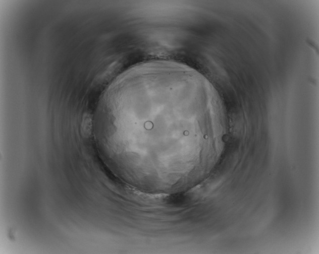 X0000098140036200804241725