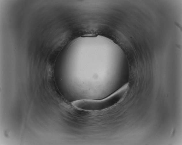 X0000098140037200804241725