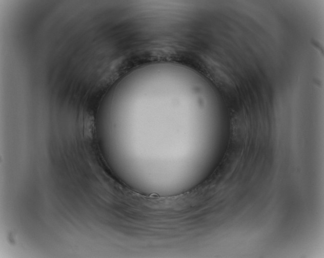 X0000098140038200804241725
