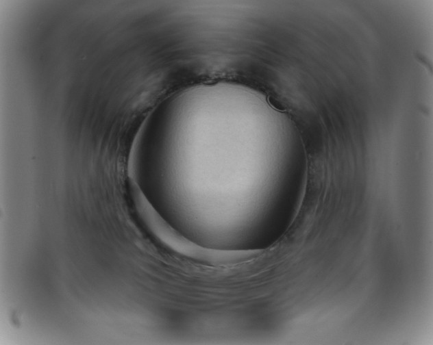 X0000098140039200804241725