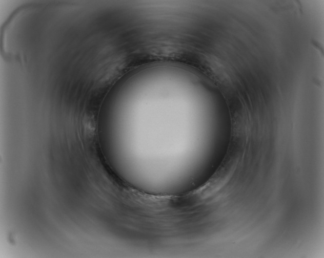 X0000098140040200804241725