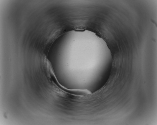 X0000098140041200804241725