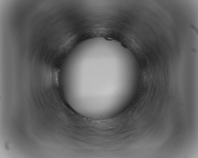 X0000098140042200804241725