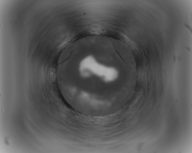 X0000098140043200804241725