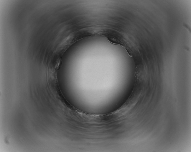 X0000098140044200804241725