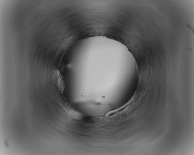 X0000098140045200804241725
