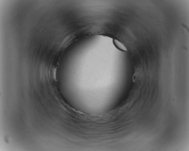 X0000098140046200804241725
